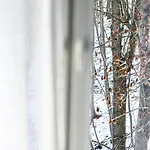 Parkovy - Your Premium In Center