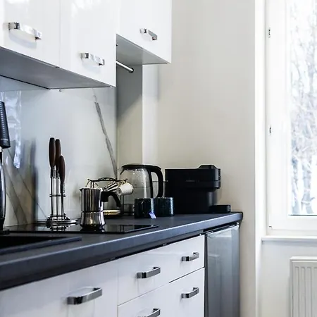 Apartment Parkovy - Your Premium In Center Bromberg