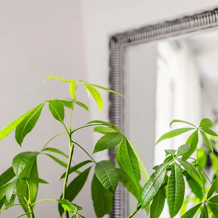 Parkovy - Your Premium In Center Appartement
