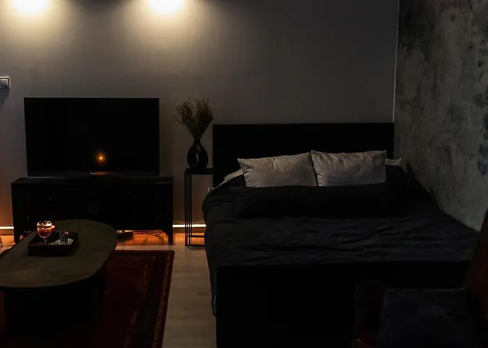 Apartman Parkovy - Your Premium In Center Bydgoszcz