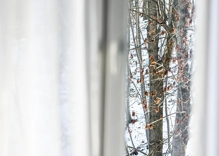 Parkovy - Your Premium In Center